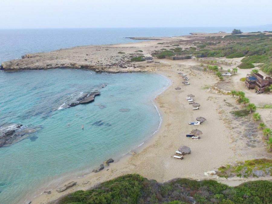 Balci Plaza Hotel And Balci Plaza Guest Bungalows Karpaz Peninsula Selenias Eksteriør bilde